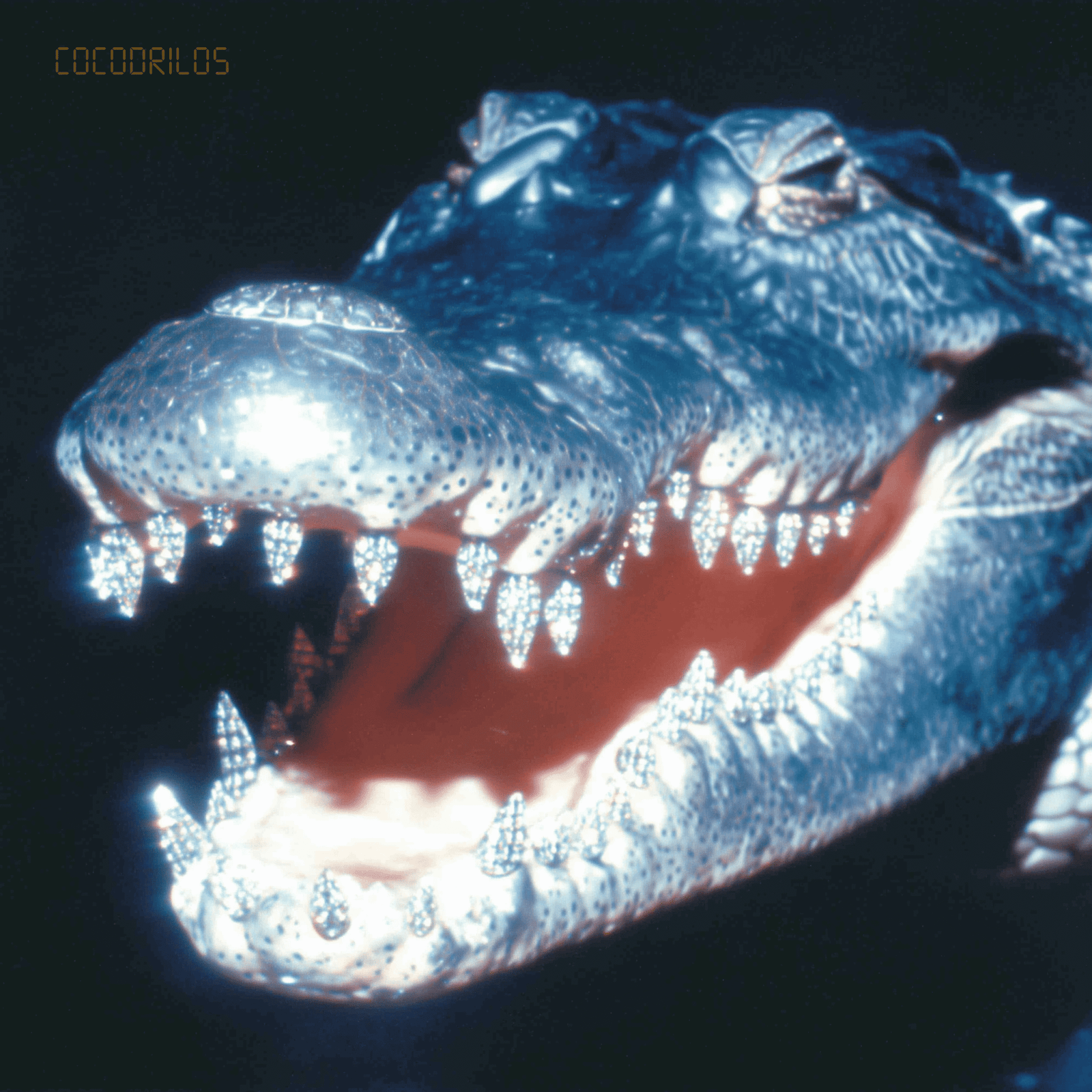 MNAK SE LIBERA DE LAS DINÁMICAS TÓXICAS EN SU NUEVO SINGLE