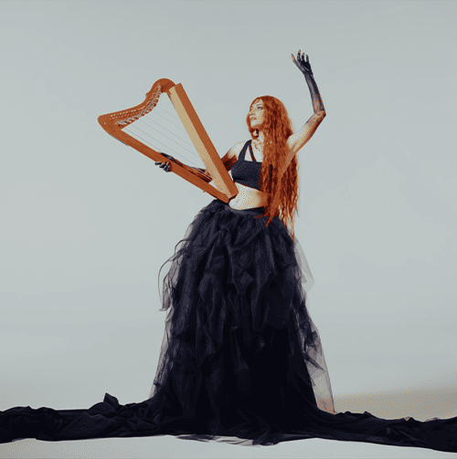 musgo_glassagencia_2